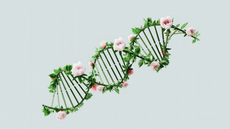DNA Data and Digital Heirs: The Ethical Questions Australians Need to Ask